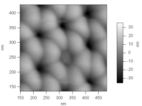 membrane